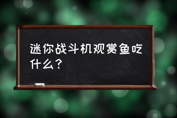 迷你世界中鸡用什么饲料 迷你战斗机观赏鱼吃什么? 迷你世界中鸡用什么饲料 迷你战斗机观赏鱼吃什么?