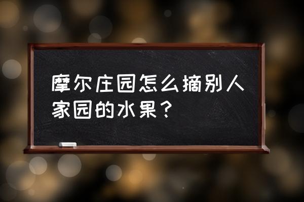 摩尔庄园手游偷菜教学 摩尔庄园怎么摘别人家园的水果? 摩尔庄园手游偷菜教学 摩尔庄园怎么摘别人家园的水果?